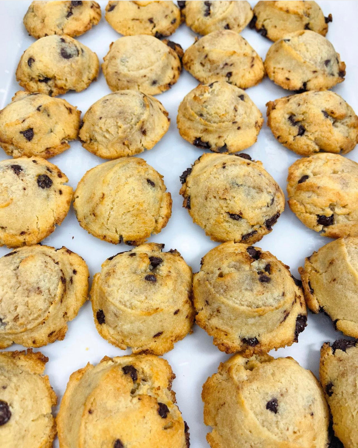 Cookies|6 Count